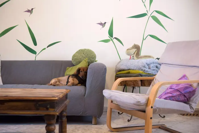 דירה שכורה באבן יהודה (נמרוד סונדרס) דירה שכורה באבן יהודה (נמרוד סונדרס)
