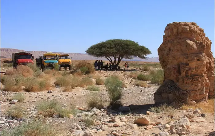 יונימוג במבחן (ניר בן טובים , רמי גלבוע) יונימוג במבחן (ניר בן טובים , רמי גלבוע)