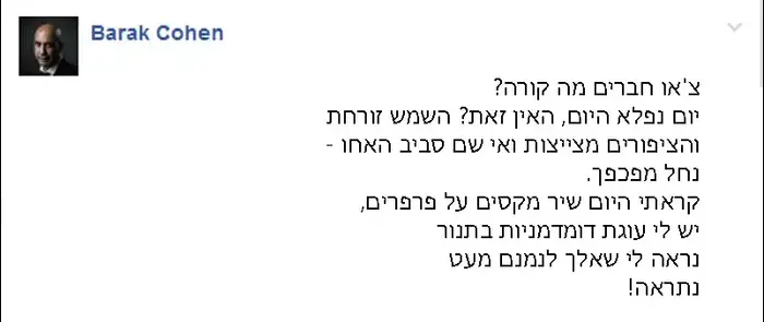 אילוסטרציה (רחלי רוטנר) אילוסטרציה (רחלי רוטנר)