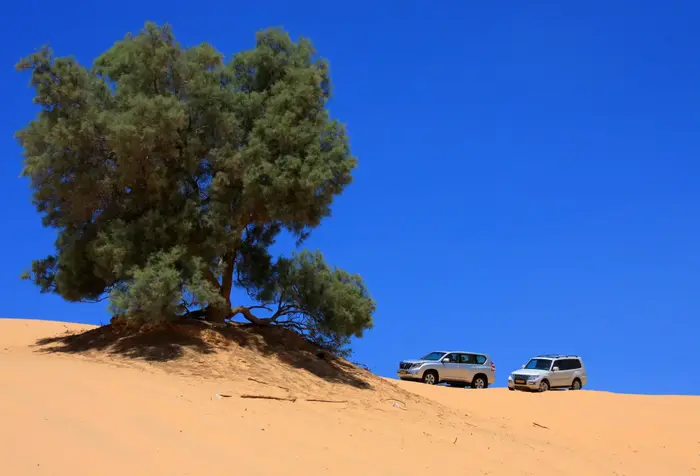מיצובישי פג'רו נגד טויוטה לנד קרוזר (מערכת וואלה! NEWS , רמי גלבוע) מיצובישי פג'רו נגד טויוטה לנד קרוזר (מערכת וואלה! NEWS , רמי גלבוע)