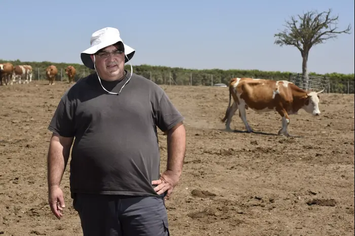 עמרי שרון בחוותה שקמים (ראובן קסטרו) עמרי שרון בחוותה שקמים (ראובן קסטרו)