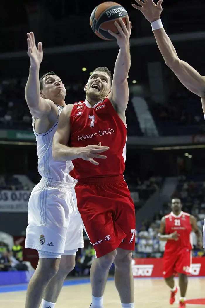 גל מקל שחקן הכוכב האדום בלגרד (GettyImages) גל מקל שחקן הכוכב האדום בלגרד (GettyImages)