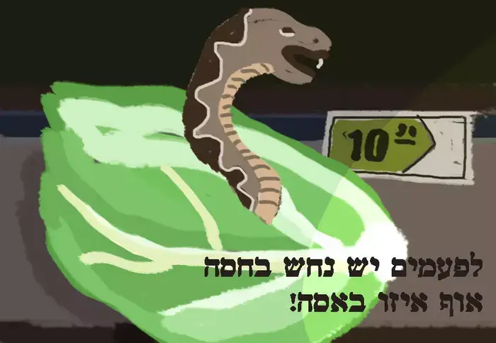 איורים למדור מופע החמידות של רחלי רוטנר 23 (רחלי רוטנר) איורים למדור מופע החמידות של רחלי רוטנר 23 (רחלי רוטנר)