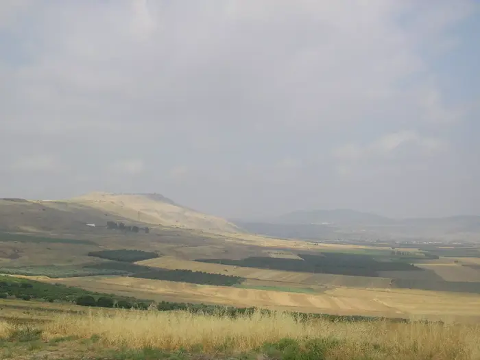 קרני חיטין (Creative Commons)