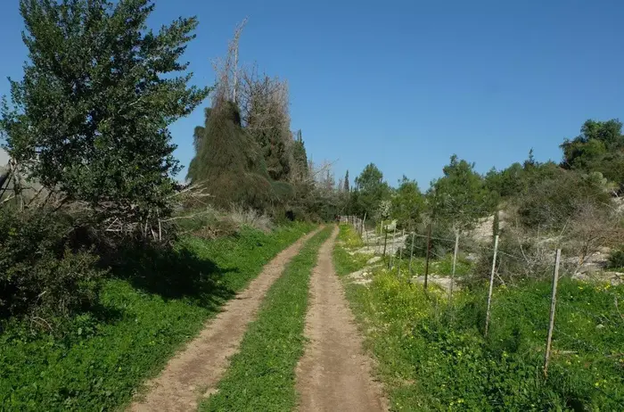טיול חורבת שמרי עין איילה (מערכת וואלה! NEWS , איל שפירא) טיול חורבת שמרי עין איילה (מערכת וואלה! NEWS , איל שפירא)