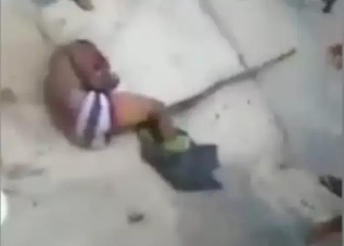 מרביצים לפדופיל (צילום מסך) מרביצים לפדופיל (צילום מסך)
