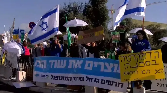 עשרות הפגינו מול הדיון בעליון בעתירות נגד אישור מתווה הגז (רוני כנפו) עשרות הפגינו מול הדיון בעליון בעתירות נגד אישור מתווה הגז (רוני כנפו)