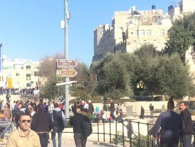 זירת פיגוע שער שכם (מערכת וואלה! NEWS) זירת פיגוע שער שכם (מערכת וואלה! NEWS)
