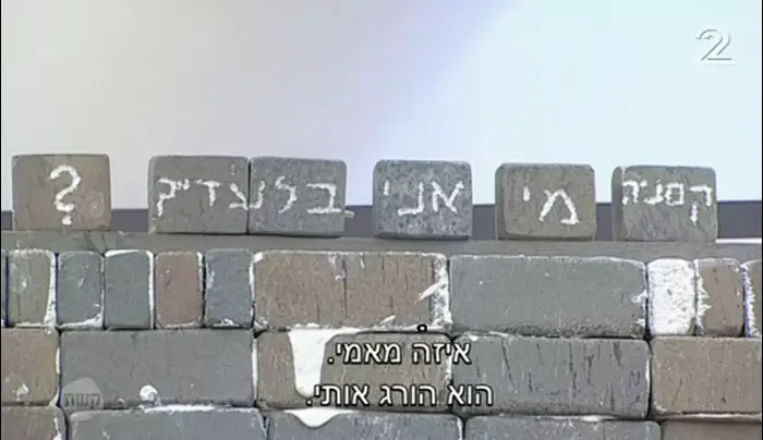 האח הגדול (צילום מסך) האח הגדול (צילום מסך)