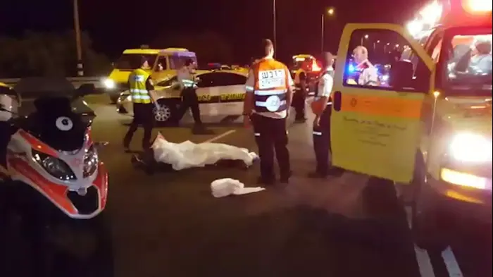 תאונה קטלנית: הולך רגל נהרג מפגיעת רכב בכביש 4 סמוך לאשדוד (מד"א) תאונה קטלנית: הולך רגל נהרג מפגיעת רכב בכביש 4 סמוך לאשדוד (מד"א)