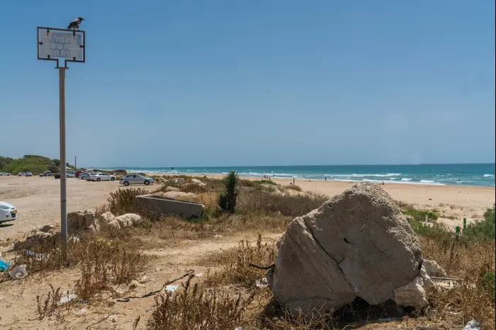 חוף הים בטירת הכרמל, 17.05.16 (ערן גילווארג) חוף הים בטירת הכרמל, 17.05.16 (ערן גילווארג)