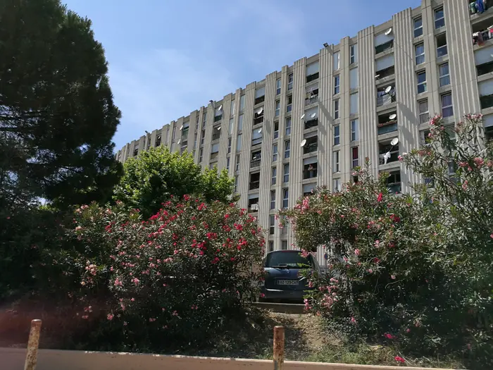המסע לחיפוש אחר ילדותו של זינדין זידאן (מערכת וואלה! NEWS , אורן יוסיפוביץ) המסע לחיפוש אחר ילדותו של זינדין זידאן (מערכת וואלה! NEWS , אורן יוסיפוביץ)