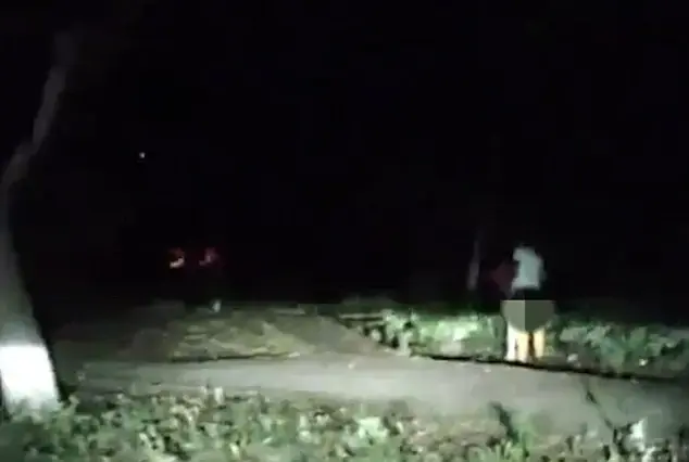 נהג סטה מתאונה ומצא זוג מקיים יחסי מין (צילום מסך) נהג סטה מתאונה ומצא זוג מקיים יחסי מין (צילום מסך)