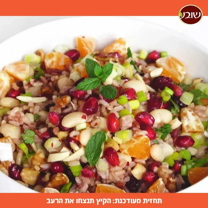 מתכוני קיץ (יח"צ)