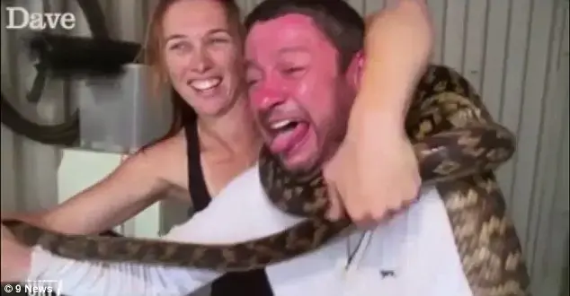 כוכב ריאליטי כמעט נחנק ע"י נחש (צילום מסך) כוכב ריאליטי כמעט נחנק ע"י נחש (צילום מסך)