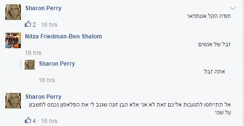 שרון פרי התכתבות (צילום מסך) שרון פרי התכתבות (צילום מסך)