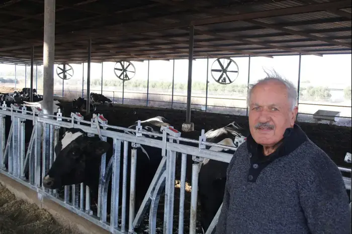 אליהו בדש, בעל רפת במושב גילת שבצפון הנגב (מערכת וואלה! NEWS , יוסי מלול) אליהו בדש, בעל רפת במושב גילת שבצפון הנגב (מערכת וואלה! NEWS , יוסי מלול)