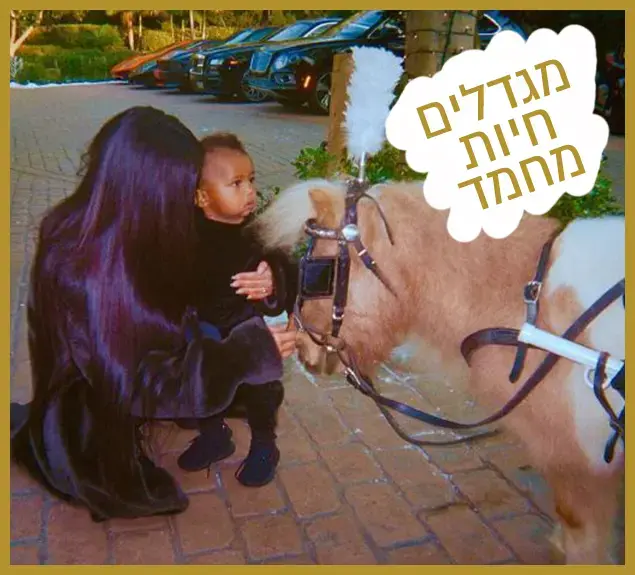 רק נראה נוצץ קים קרדשיאן (צילום מסך)