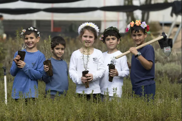 ט"ו בשבט (מערכת וואלה! NEWS , יוסי אלוני) ט"ו בשבט (מערכת וואלה! NEWS , יוסי אלוני)