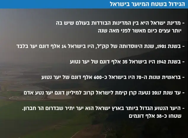 הגידול בשטח המיוער בישראל