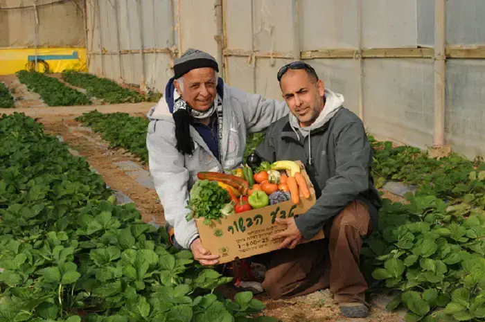 ירקות אורגניים של טבע הבשור , מושב עין הבשור (יח"צ) ירקות אורגניים של טבע הבשור , מושב עין הבשור (יח"צ)