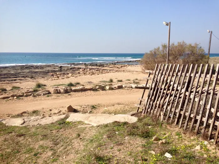 מלון NEA שבי ציון (מערכת וואלה! NEWS , איריס פרידמן)