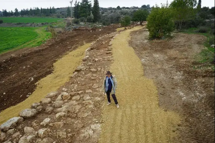 מנהלת החפירה אירנה זילברבוד באתר (מערכת וואלה! NEWS , חברת גריפין צילום אוירי, באדיבות רשות העתיקות) מנהלת החפירה אירנה זילברבוד באתר (מערכת וואלה! NEWS , חברת גריפין צילום אוירי, באדיבות רשות העתיקות)