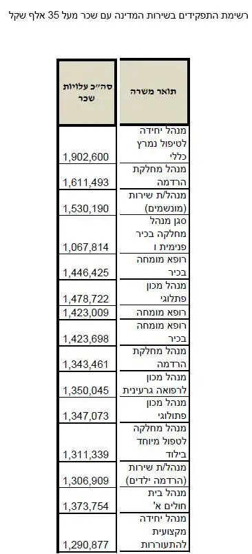 שיאני השכר (צילום מסך , משרד האוצר)