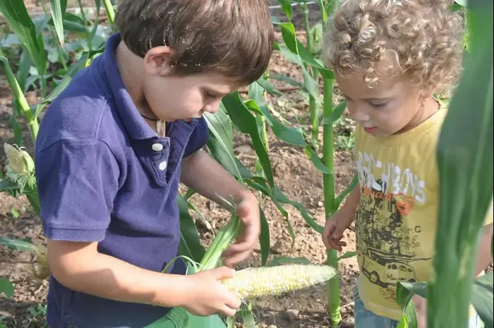 משק הלברכט (מערכת וואלה! NEWS , הדר נאור)