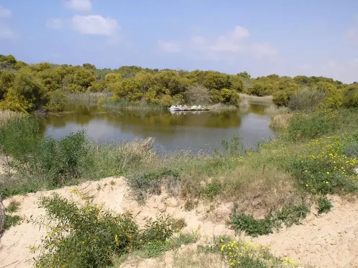 חולות ניצנים (מערכת וואלה! NEWS , איל שפירא)