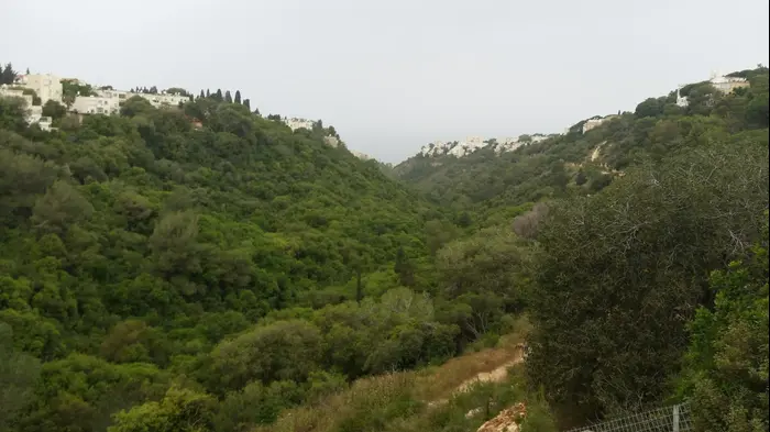 נחל לוטם בחיפה (צילום מסך , שועל, ויקיפדיה)