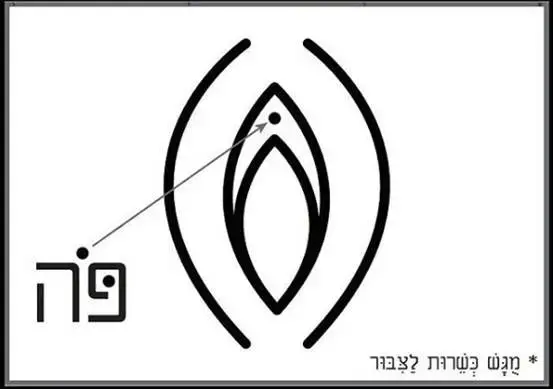 מתוך עמוד האינסטגרם של שרדר (צילום מסך , אינסטגרם) מתוך עמוד האינסטגרם של שרדר (צילום מסך , אינסטגרם)