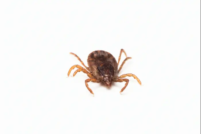 לידור כימיקלים (ShutterStock) לידור כימיקלים (ShutterStock)