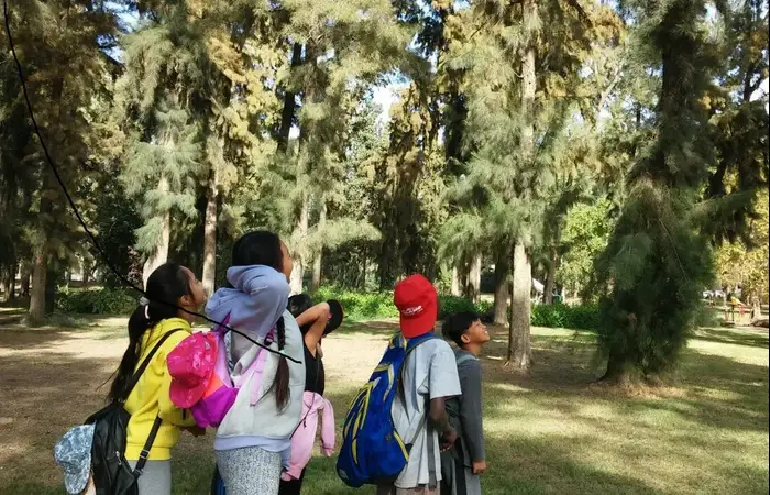 פרויקט חינוכי לתלמידים של איגודן (אתר רשמי , אתר איגודן)