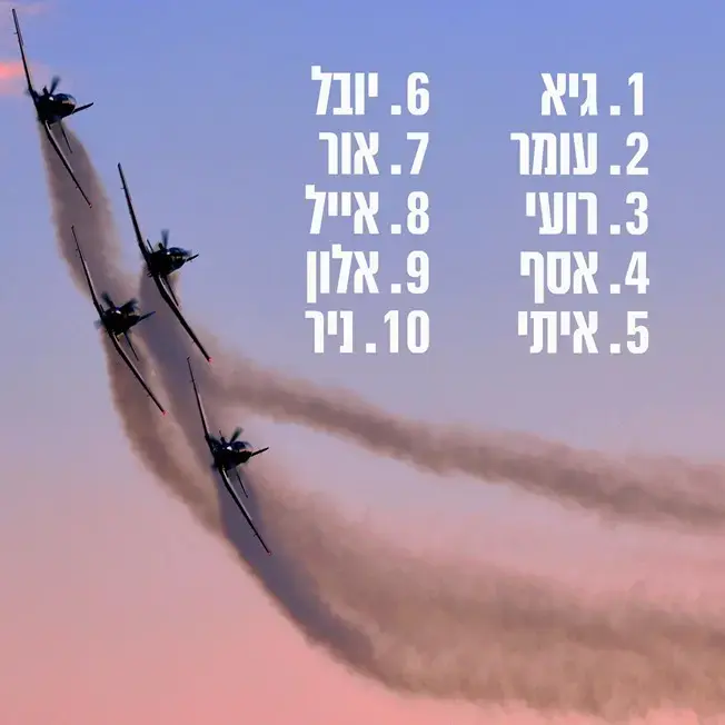 השמות הנפוצים ביותר של טייסי חיל האוויר, יוני 2017 (צילום מסך , אתר צה"ל) השמות הנפוצים ביותר של טייסי חיל האוויר, יוני 2017 (צילום מסך , אתר צה"ל)