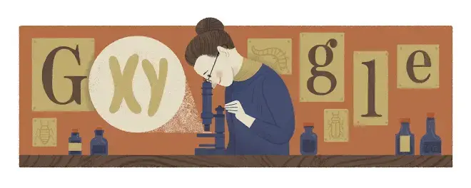 גוגל דודל לרגל יום ההולדת ה-155 של הביולוגית נטי סטיבנס (צילום מסך , גוגל) גוגל דודל לרגל יום ההולדת ה-155 של הביולוגית נטי סטיבנס (צילום מסך , גוגל)