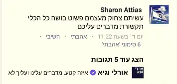 אורלי וגיא פייסבוק (אתר רשמי , צילום מסך)