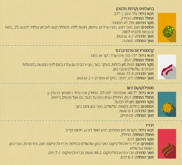 אינפוגרפיקה חיידקים מכון דווידסון (יח"צ) אינפוגרפיקה חיידקים מכון דווידסון (יח"צ)