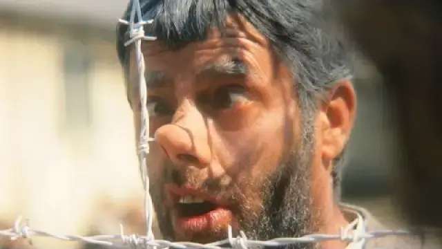 ג'רי לואיס (יח"צ)