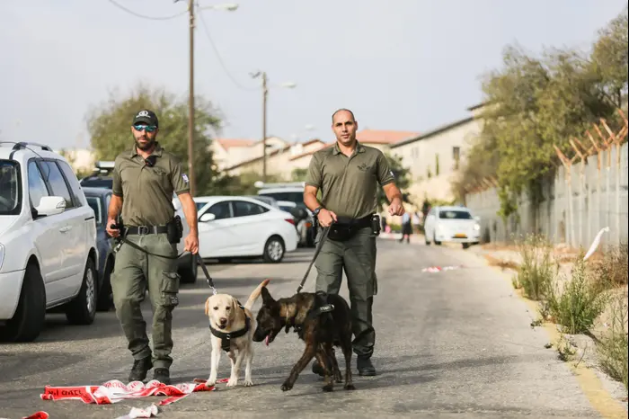 משטרה פיגוע ירי בהר אדר 26 בספטמבר 2017 (נועם מושקוביץ) משטרה פיגוע ירי בהר אדר 26 בספטמבר 2017 (נועם מושקוביץ)