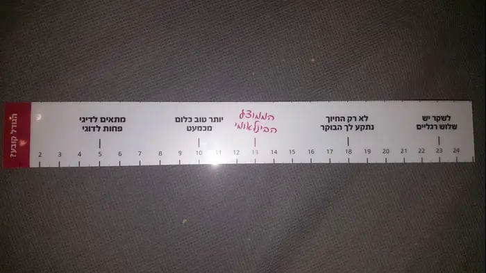אורית פוקס (ניר פקין)