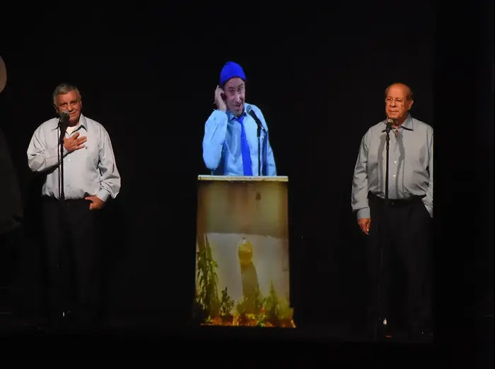 הגשש החיוור (אביב חופי) הגשש החיוור (אביב חופי)