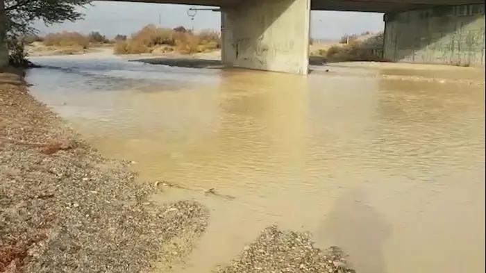זרימה עזה בנחלים רחם וחיון בערבה, 24 בפברואר 2018 (מערכת וואלה! NEWS , צילום: ערן היימס, רשות הטבע והגנים) זרימה עזה בנחלים רחם וחיון בערבה, 24 בפברואר 2018 (מערכת וואלה! NEWS , צילום: ערן היימס, רשות הטבע והגנים)