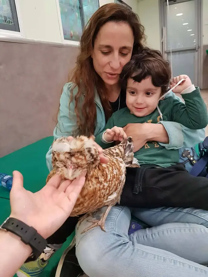 ענת דניאל מלכת הכביש חוגים לפעוטות (אתר רשמי)