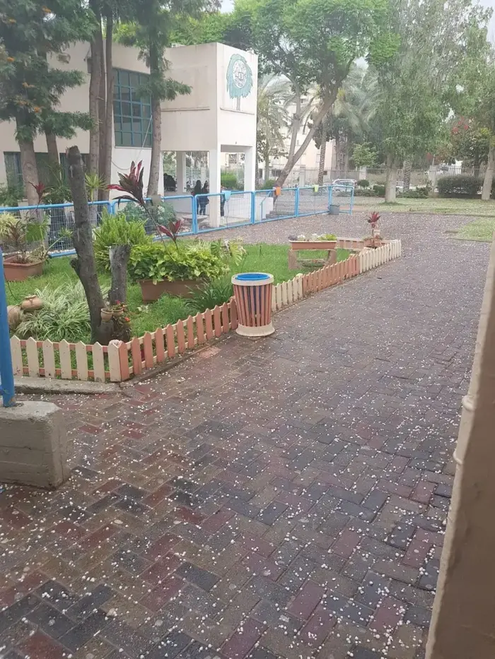 ברד בחדרה, 7 במאי 2018 (שלומי גבאי) ברד בחדרה, 7 במאי 2018 (שלומי גבאי)