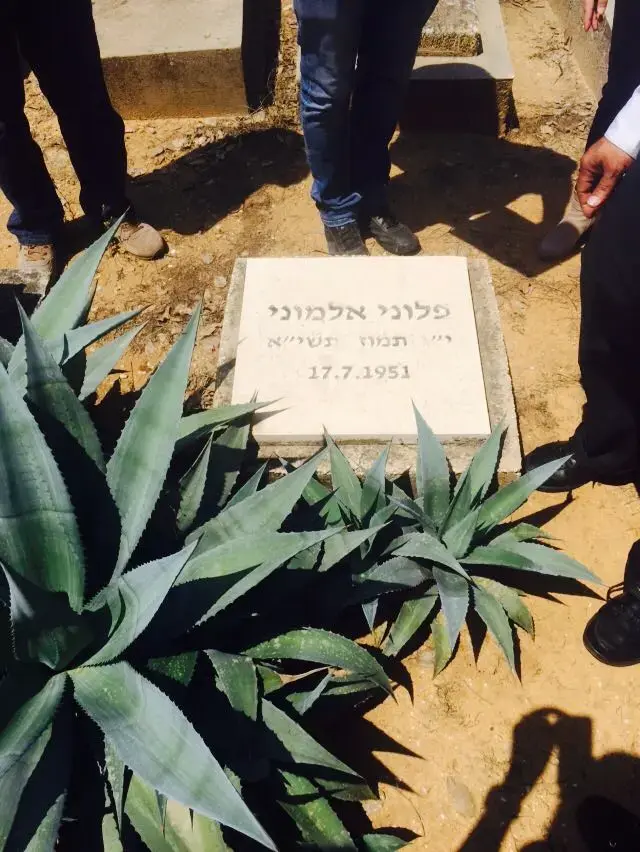 מצבות נטושות ועזובות בבית העלמין בכרכור, 30 באפריל 2018 (מערכת וואלה! NEWS , יואב איתיאל) מצבות נטושות ועזובות בבית העלמין בכרכור, 30 באפריל 2018 (מערכת וואלה! NEWS , יואב איתיאל)