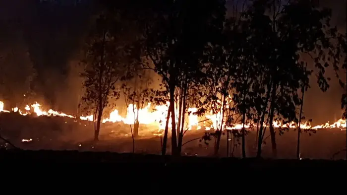 שריפה ביער בארי שהוצתה בעקבות עפיפון תבערה - 17 ביוני 2018 (מערכת וואלה! NEWS , דני בן דוד, יערן קק"ל) שריפה ביער בארי שהוצתה בעקבות עפיפון תבערה - 17 ביוני 2018 (מערכת וואלה! NEWS , דני בן דוד, יערן קק"ל)