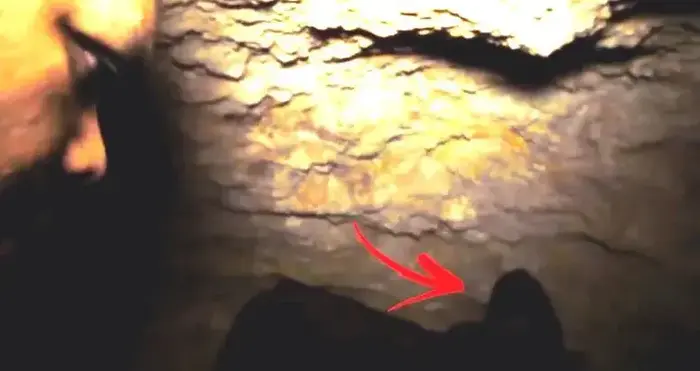צייד רוחות רפאים במערה (אתר רשמי) צייד רוחות רפאים במערה (אתר רשמי)