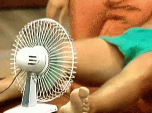גיף יושב מול מאוורר (Giphy) גיף יושב מול מאוורר (Giphy)