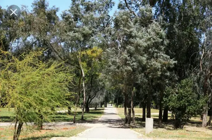 גן איקלום לעצים ארבורטום יער האילנות (מערכת וואלה! NEWS , גן איקלום לעצים ארבורטום יער האילנות) גן איקלום לעצים ארבורטום יער האילנות (מערכת וואלה! NEWS , גן איקלום לעצים ארבורטום יער האילנות)